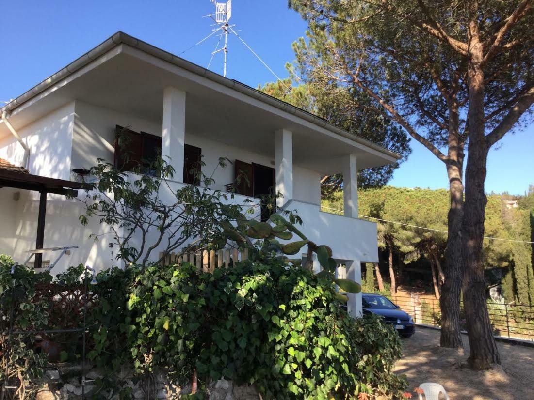 Villa Barabarca カポリーヴェリ エクステリア 写真